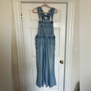 Aerie Large Blue Denim Overalls